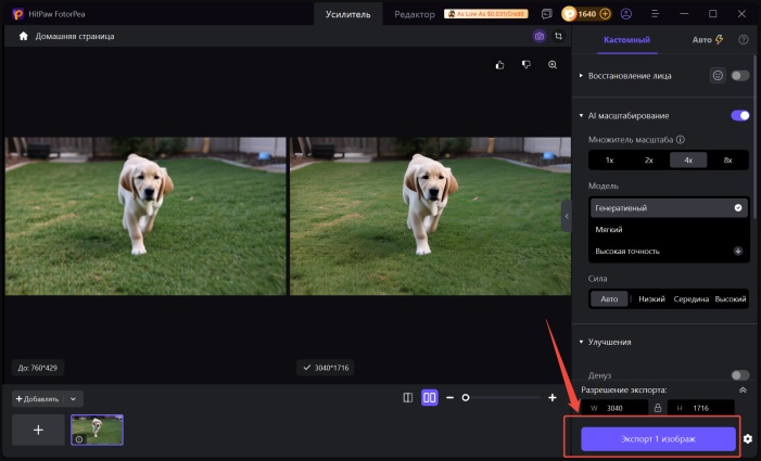 Экспортируйте улучшенную фотографию питомца из HitPaw FotorPea