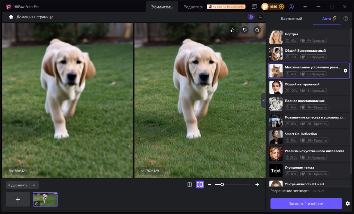 «Предпросмотр» улучшенной фотографии питомца в HitPaw FotorPea