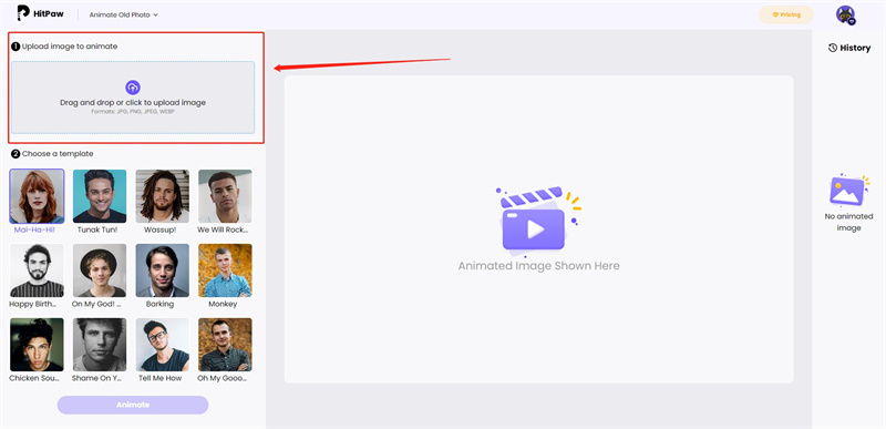 hitpaw animator