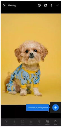 wie man den Hintergrund in Lightroom entfernt