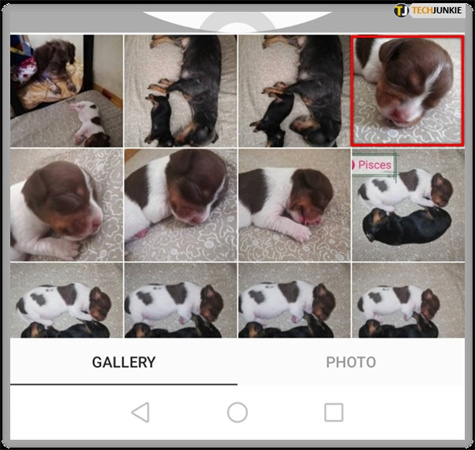 changer sa photo de profil instagram