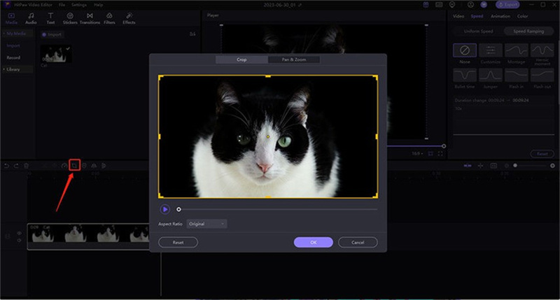 kapwing-photo-editor-11