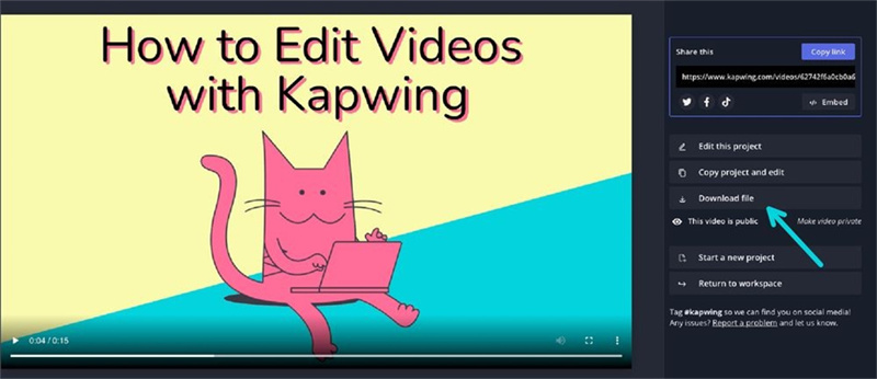 Everything You Need To Know About Kapwing Photo Editor