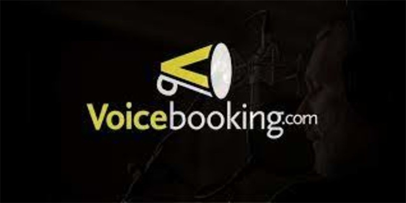 voicebooking.com