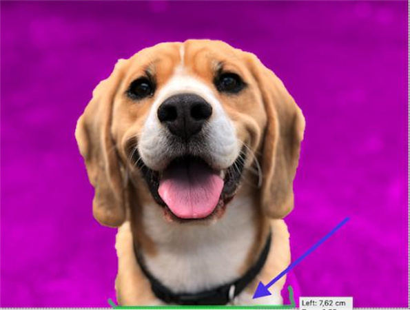 powerpoint enlever le fond d une image sur pc