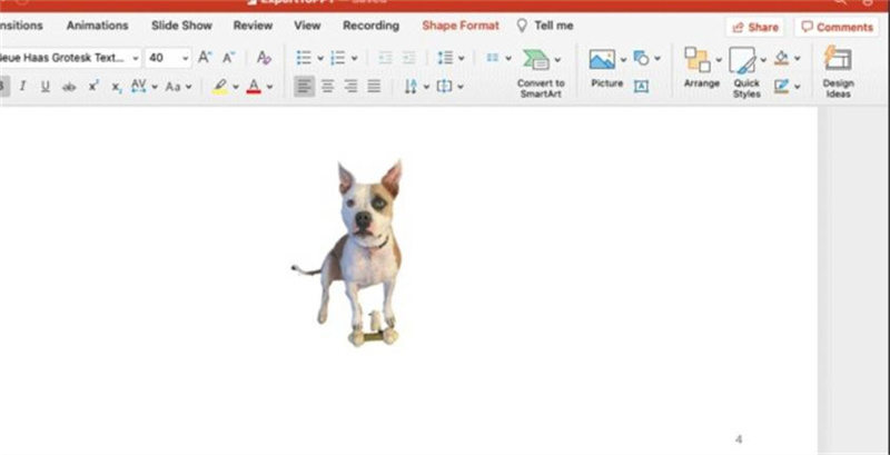 powerpoint enlever le fond d une image sur mac