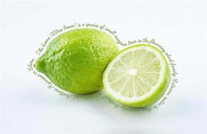 포토샵 텍스트 감기13