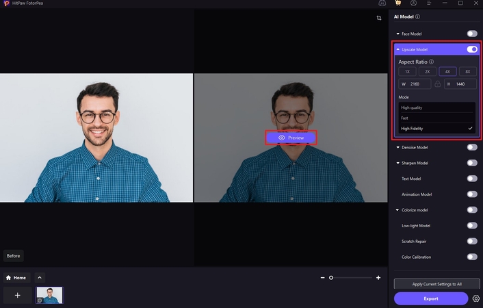 preview button results professional summary image