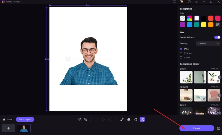 export id photo cv summary