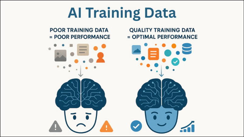 Importance of Training Data