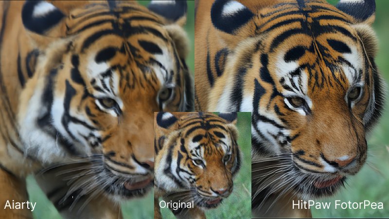ai denoise results aiarty vs hitpaw fotorpea