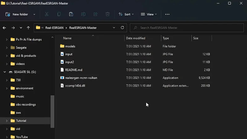 add low quality image to real esrgan input folder