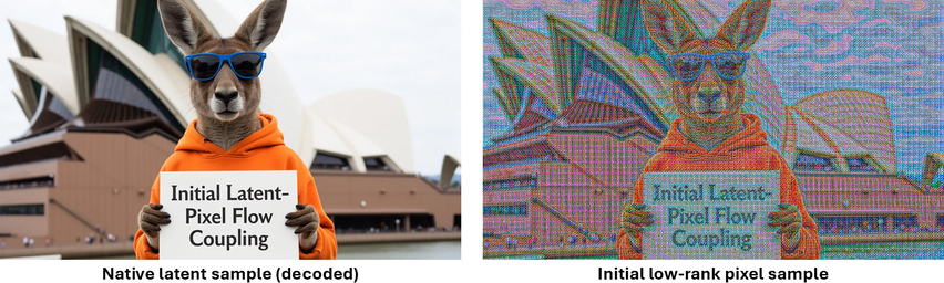 AsymFlow latent and pixel sample comparison