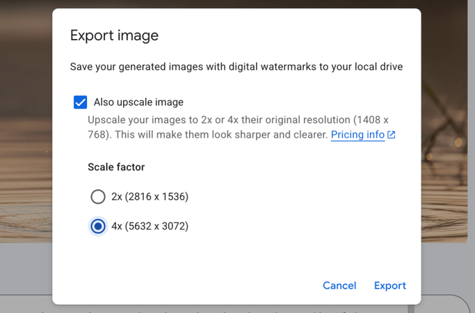 Exporter l'image agrandie