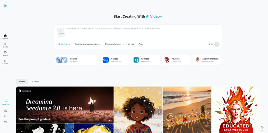 Seedance AI Overview