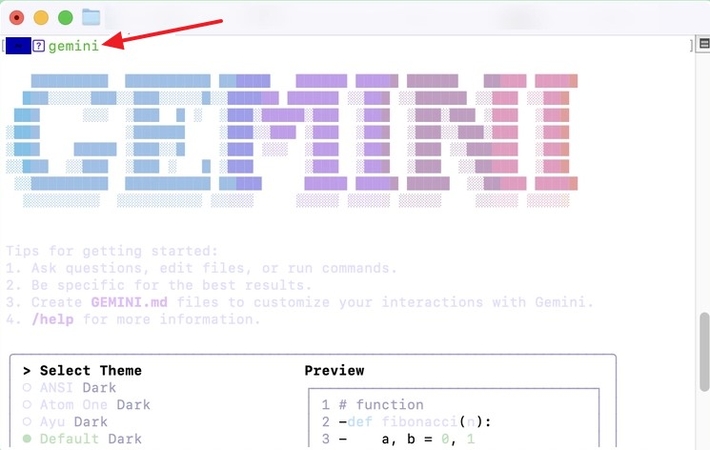Gemini 명령 프롬프트에서 설정 시작