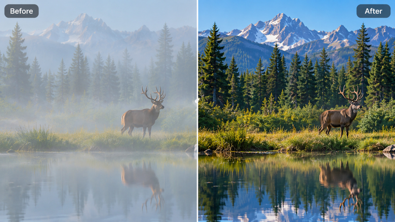 dehaze wildlife photo before and after