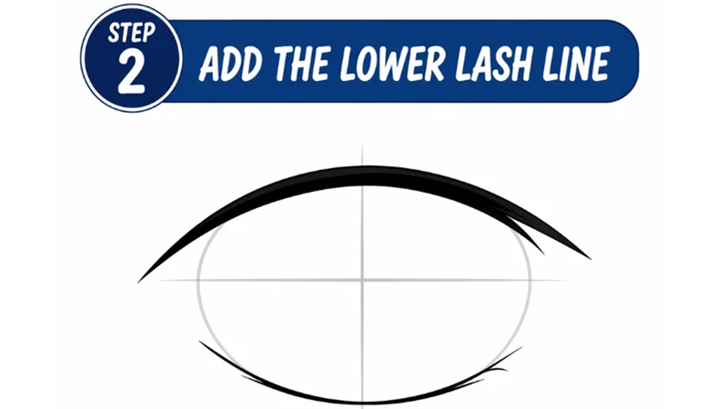 anime eye drawing showing thin lower lash line