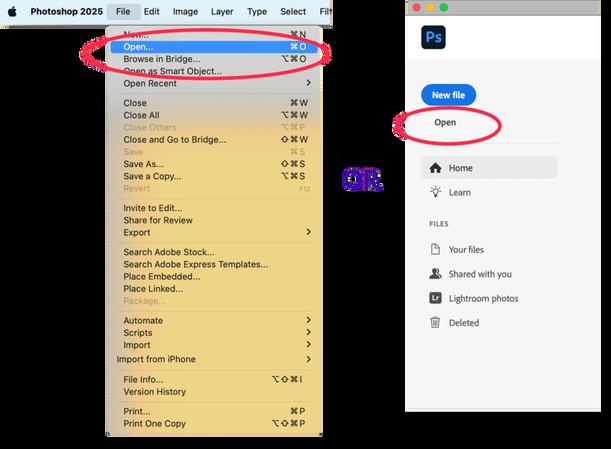 professional image resizing workflow in photoshop