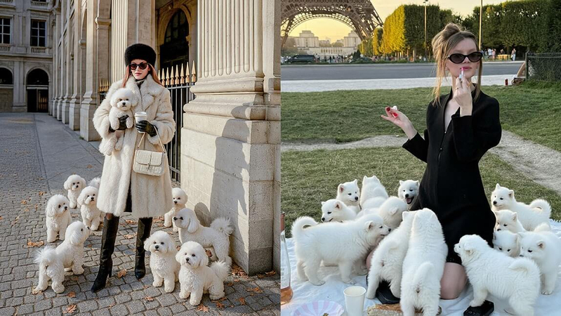 AI 강아지 트렌드 사진