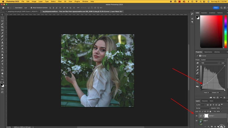 Curves 조정 레이어 추가