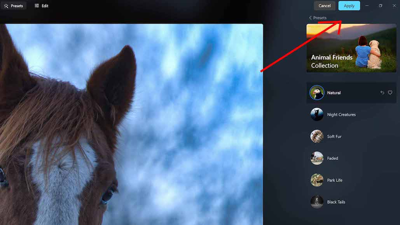 apply ai enhancements luminar neo photoshop