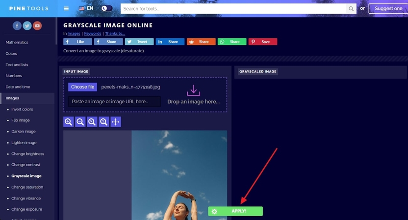 convert black and white in pinetools
