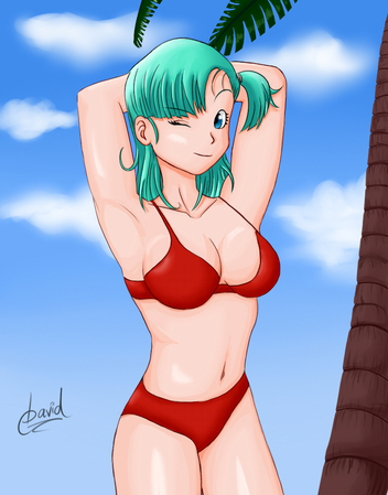 bulma dragon ball character bikini