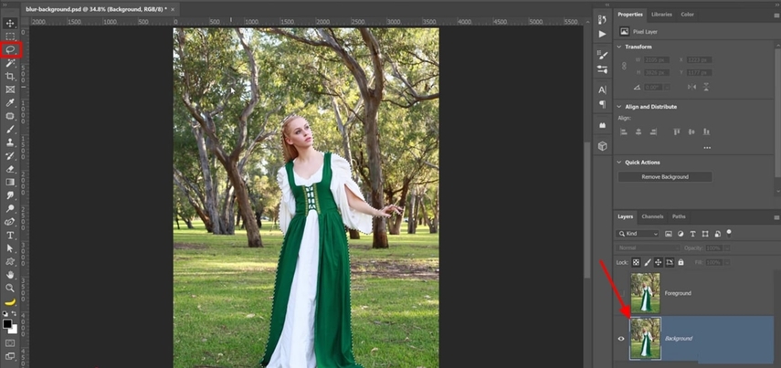 선택 도구로 객체를 표시