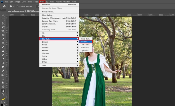 흐림 갤러리에서 아이리스 흐림 선택