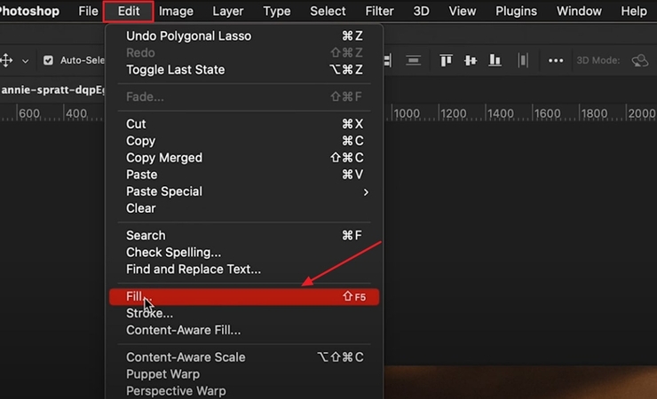 choose fill option from edit menu