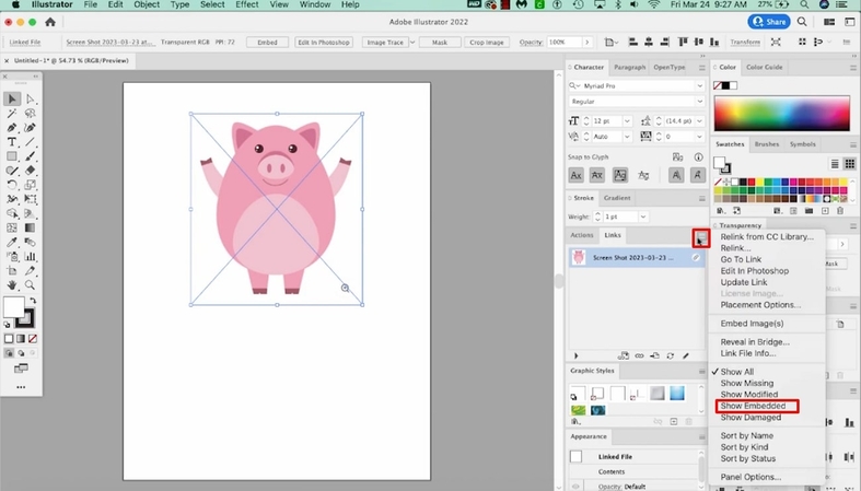 select show embeded option
