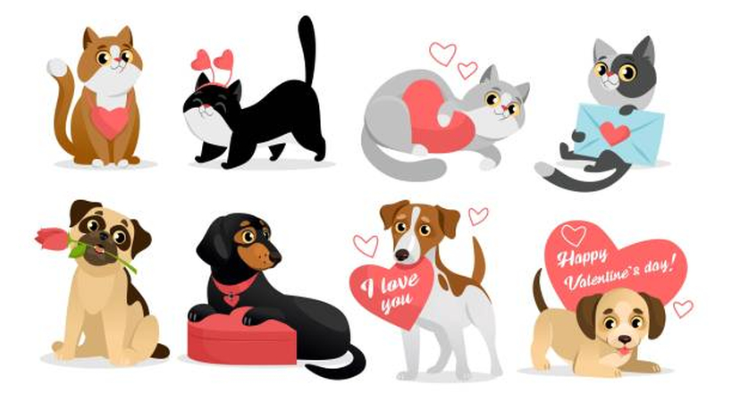 dog valentines card
