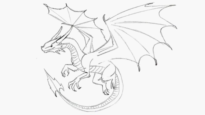 refine the body and wing of dragon