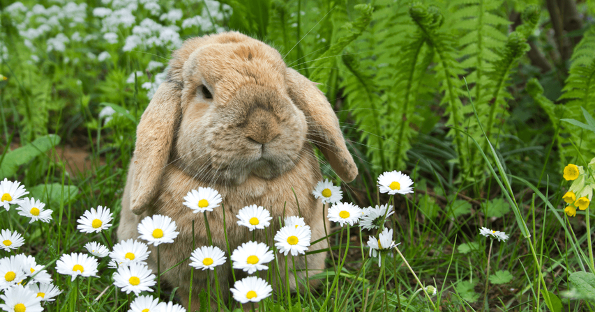 easter writing prompts