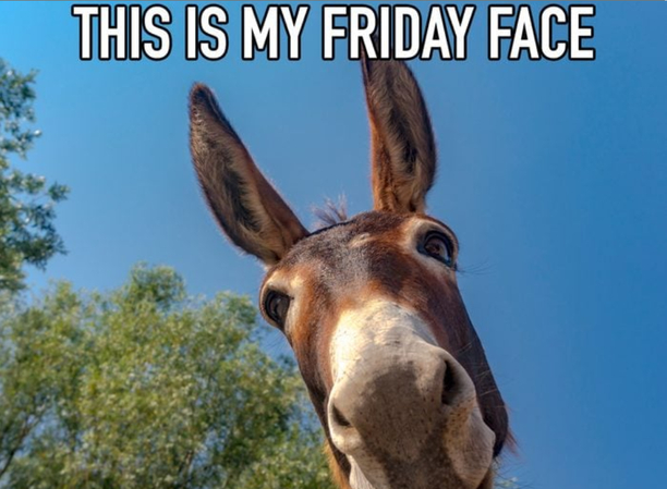 finally friday memes