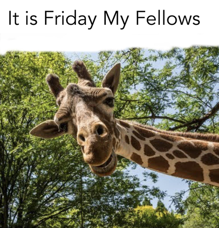 finally friday work meme