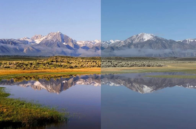 film photography vs digital photography