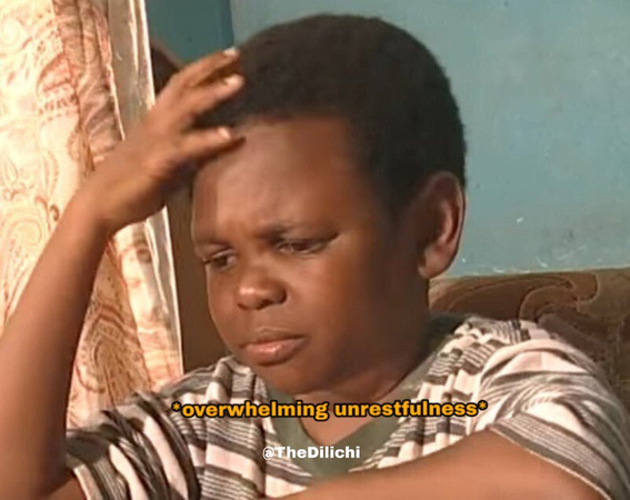 funny chihuahua meme face