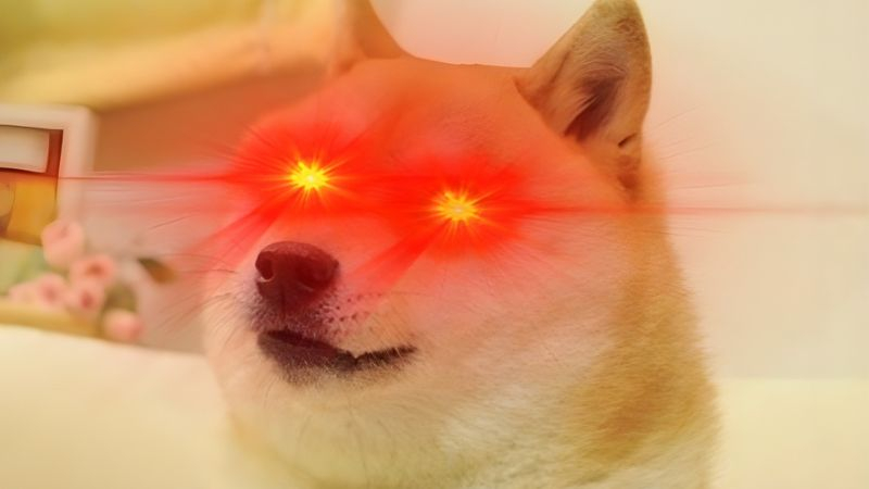 funny dog laser eyes meme