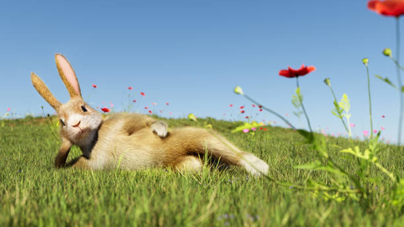 easter writing prompts