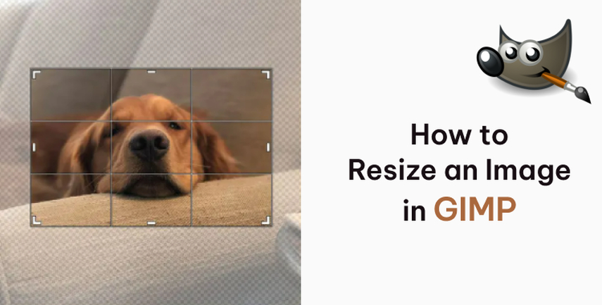 advanced scaling and resizing in gimp