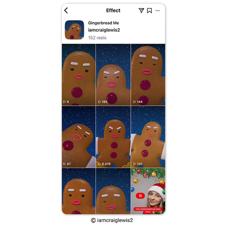 ginger christmas filter