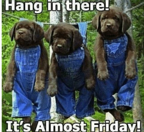 its finally friday meme