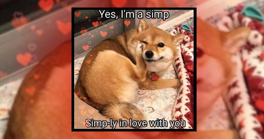 happy valentines day meme