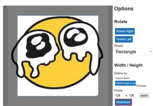 click on the download button