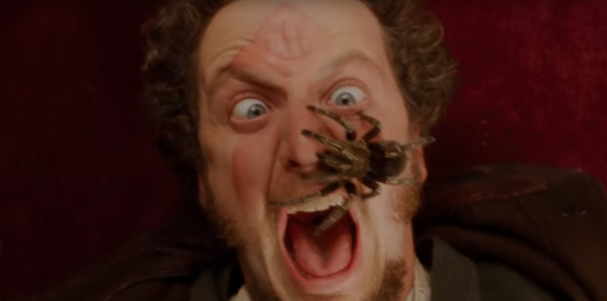 home alone spider