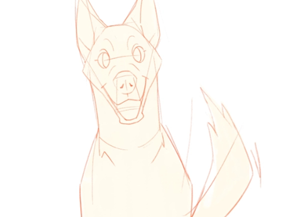 رسم كلب الهاسكي