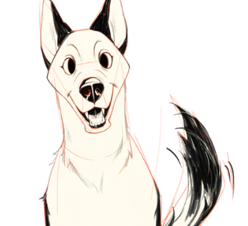 رسم كلب الهاسكي