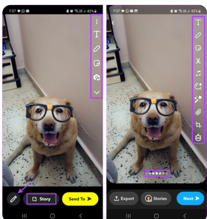snapchat kamera mit hundefoto und bearbeitungsoptionen öffnen
